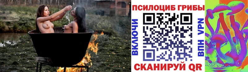 Псилоцибиновые грибы мухоморы  Шагонар 